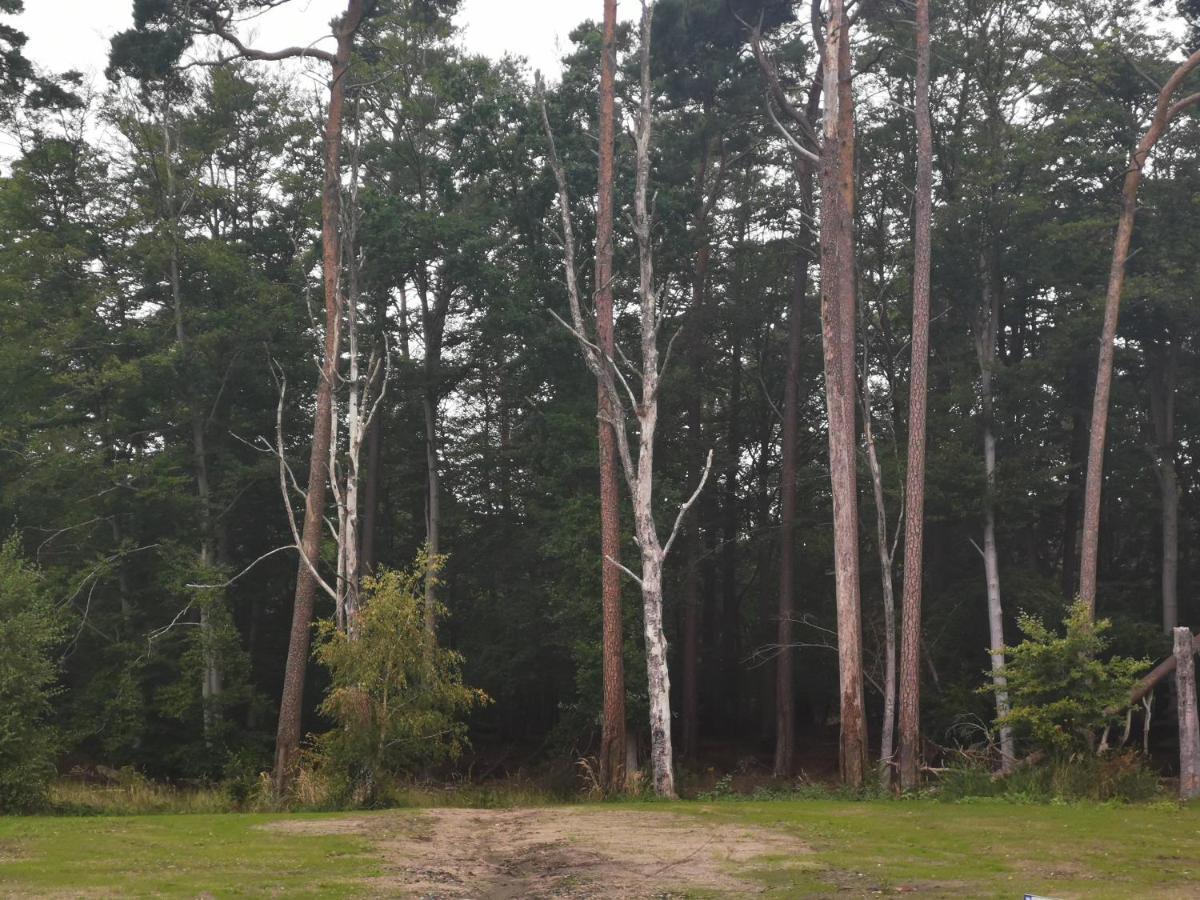 Ferienwohnung Og Graal-Mueritz Kuestenwald 外观 照片